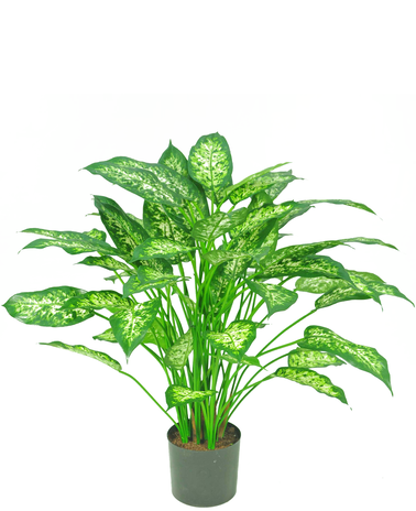 Kunstig plante Dieffenbachia 75 cm