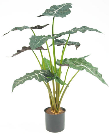 Kunstig plante Alocasia 67 cm