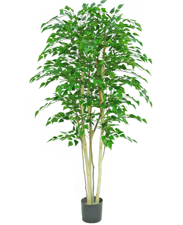 Kunstig plante Ru Birk 210 cm