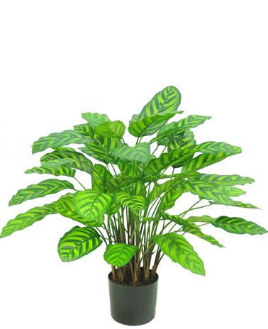 Kunstig plante Calathea Makoyana 75 cm