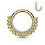 Piercing sparkling hoop goldy