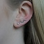 Zilveren earclimbers Slang Zilveren earclimbers Slang