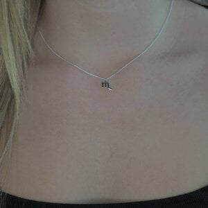 Schorpioen ketting