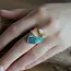 Spiny Oyster Turquoise ring Fem Spiny Oyster Turquoise ring Fem