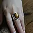 Tiger -eye ring Anello Tiger -eye ring Anello