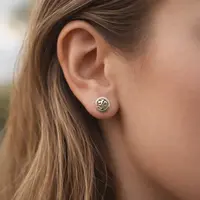 Ohm oorknopjes zilver