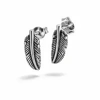 Zilveren oorknopjes veer