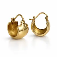 Oorbellen hoop goudkleur