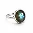 Zilveren ring Labradoriet Louisa