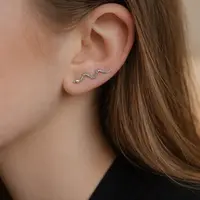 Zilveren earclimbers Slang