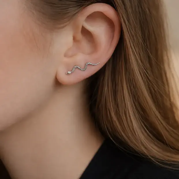 Zilveren earclimbers Slang