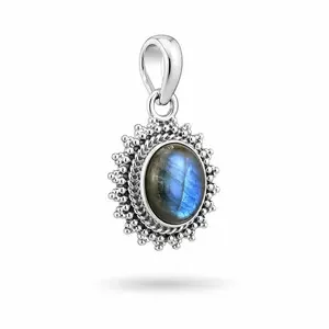 Labradoriet hanger Klom