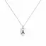 Mini Dog Tag ketting graveerbaar
