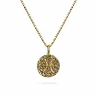 Sterrenbeeld Vissen Ketting