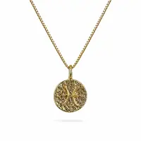 Sterrenbeeld Vissen Ketting Sterrenbeeld Vissen Ketting