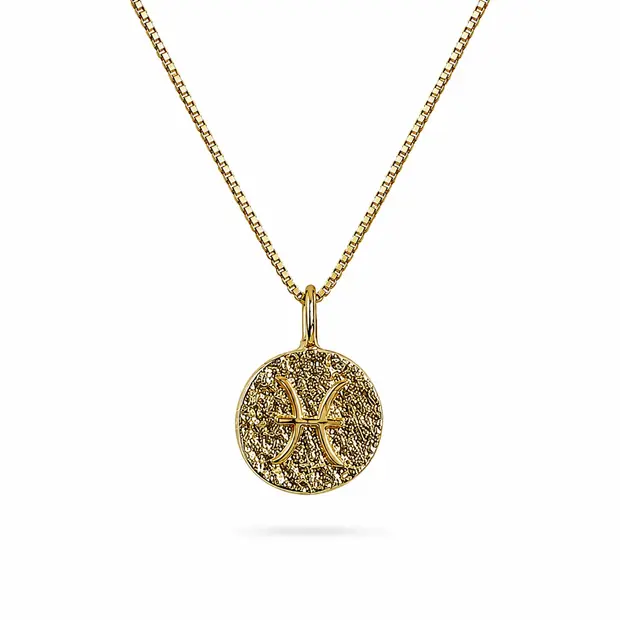 Sterrenbeeld Vissen Ketting Sterrenbeeld Vissen Ketting