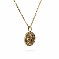 Sterrenbeeld Vissen Ketting Sterrenbeeld Vissen Ketting