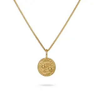 Sterrenbeeld Kreeft Ketting