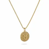 Sterrenbeeld Stier Ketting Sterrenbeeld Stier Ketting
