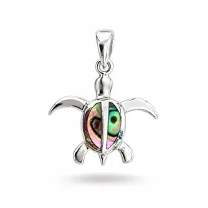 Schilpad hanger Abalone Schilpad hanger Abalone
