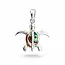 Schilpad hanger Abalone Schilpad hanger Abalone