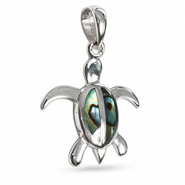 Schilpad hanger Abalone Schilpad hanger Abalone