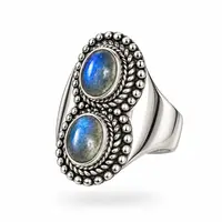 Labradoriet ring Double