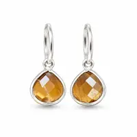Tiger-eye hoop oorringen