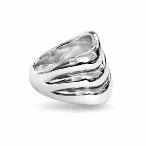 Zilveren ring Webi Zilveren ring Webi