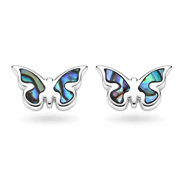 Abalone oorknopjes Vlinder Abalone oorknopjes Vlinder