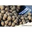 CCMoore CCMoore Odyssey XXX Shelf Life 5kg