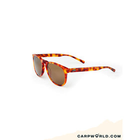 Fortis Hawkbill Light Shell