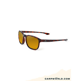 Fortis Strokes AM/PM Amber Tortoise Shell