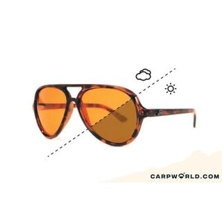 Fortis Aviator SWITCH Tortoise Shell