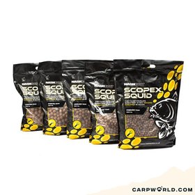Nash Scopex Squid Boilies 1kg