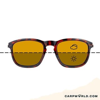 Fortis Strokes Switch