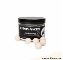 CCMoore NS1 Pop Ups White