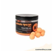 CCMoore NS1 Pop Ups Orange