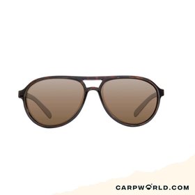 Korda Sunglasses Aviator Tortoise Frame / Brown
