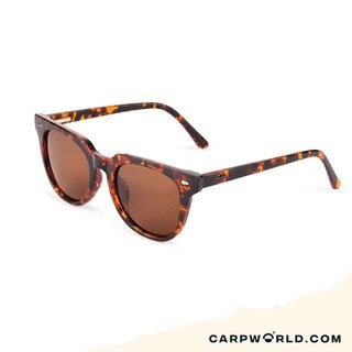 Fortis Cat Eyes Brown 24/7