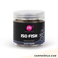 Mainline Mainline Balanced Wafter ISO Fish