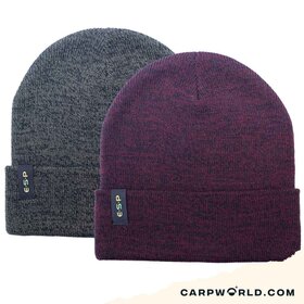 ESP Beanie Hat