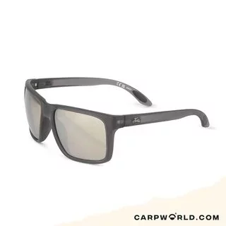 Fortis Bays Amber / Silver Xblok