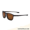 Fortis Eyewear Fortis Strokes Matte Black 247 Brown
