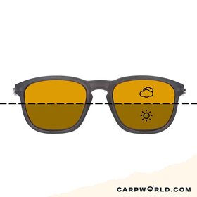 Fortis Strokes Matte Black Switch