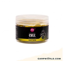 Mainline Balanced Wafter Essential CellTM