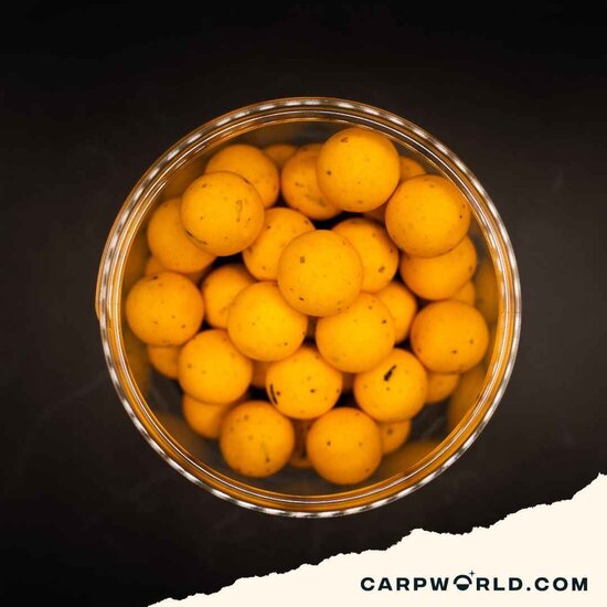 Carpworld.com Carpworld.com X F.F EsterSquid12 Pop Up 15mm