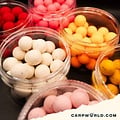 Carpworld.com Carpworld.com X F.F EsterSquid12 Pop Up 15mm