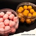 Carpworld.com Carpworld.com X F.F EsterSquid12 Wafters