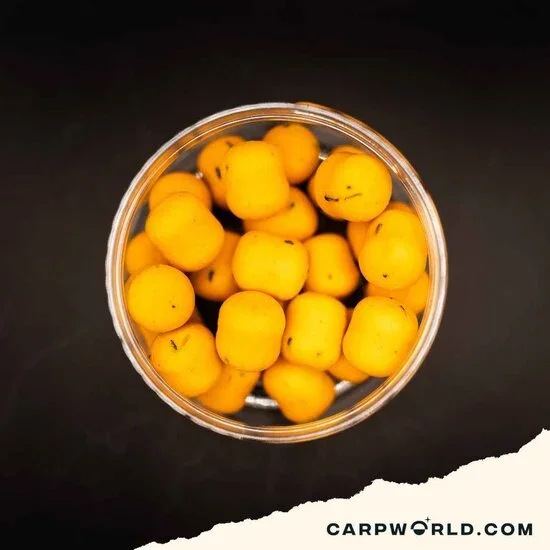 Carpworld.com Carpworld.com X F.F EsterSquid12 Wafters